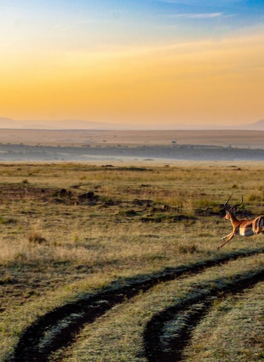 Kenya