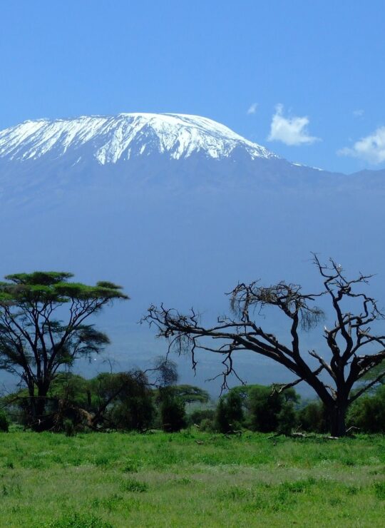Tanzanie Tanzanie